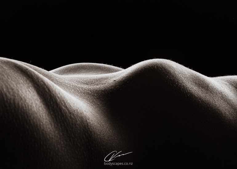 Body detail no.61 4906