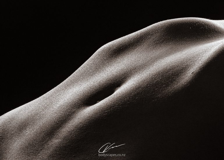 Body detail no.61 4944