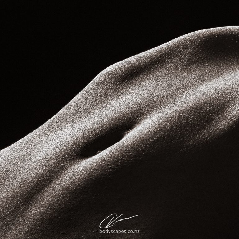 Body detail no.61 4944