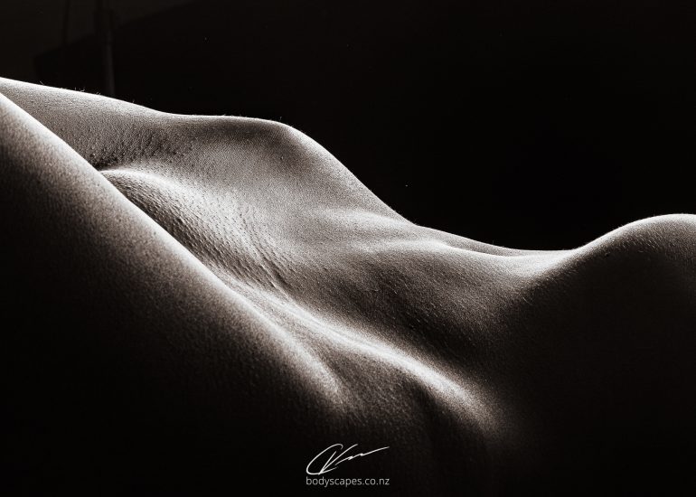 Body detail no.61 4972