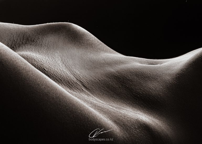 Body detail no.61 4974