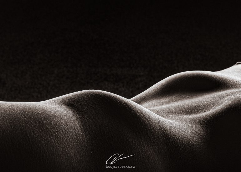 Body detail no.61 4985