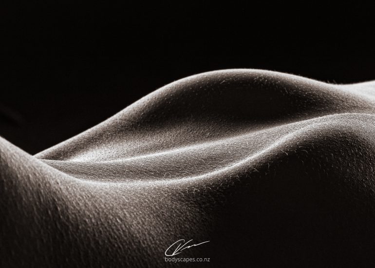 Body detail no.61 4988