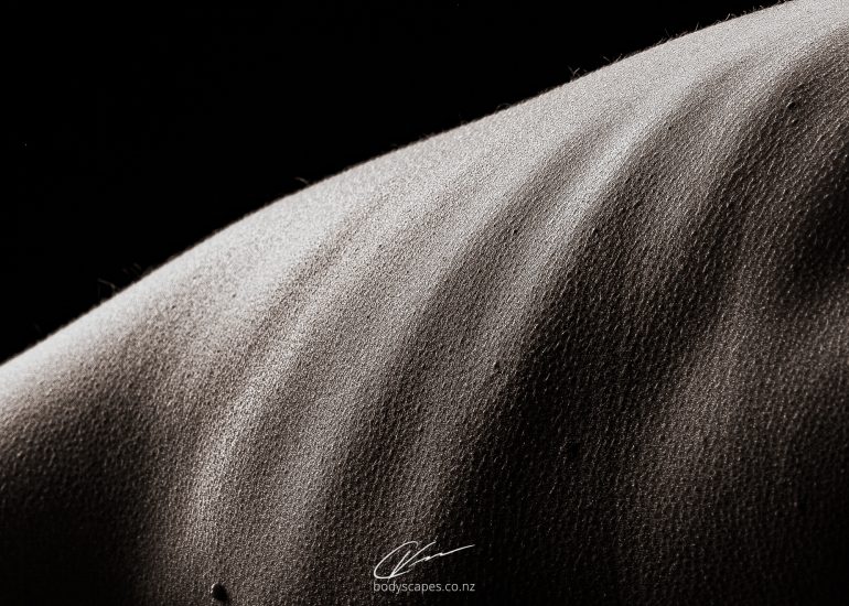 www.bodyscapes.co.nz