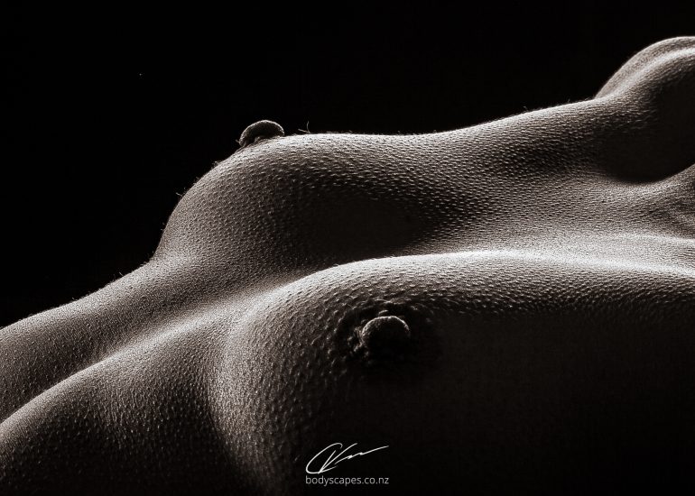 www.bodyscapes.co.nz